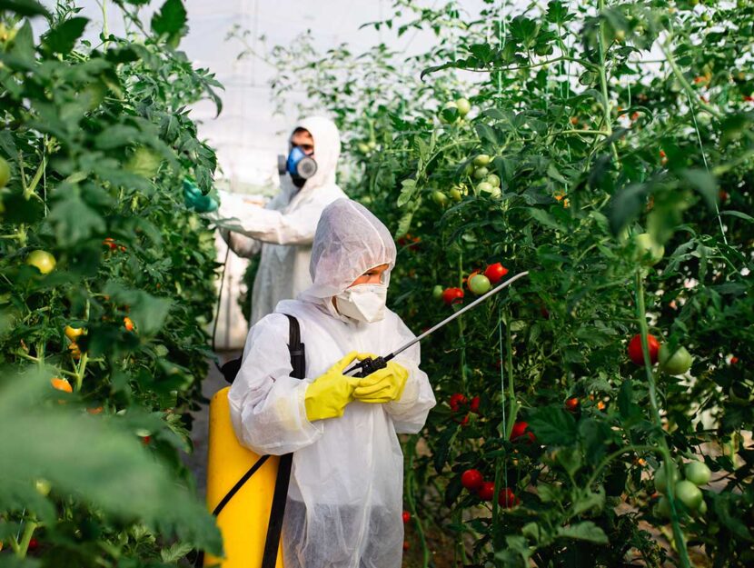 Due agricoltori spargono pesticidi