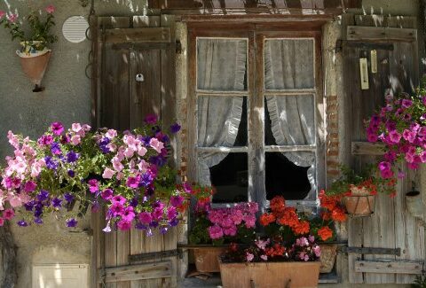 Rendi la tua casa eco-friendly in 7 mosse e risparmia sulla bolletta