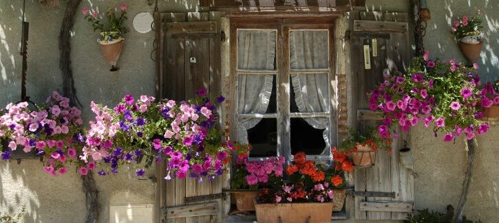 Rendi la tua casa eco-friendly in 7 mosse e risparmia sulla bolletta