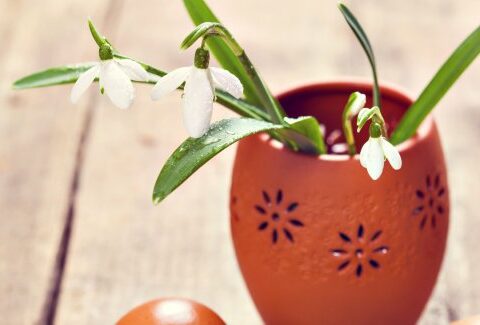 Uova di Pasqua come vasi da fiori: ecco come fare