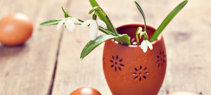 Uova di Pasqua come vasi da fiori: ecco come fare