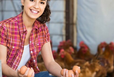 Un uovo oggi o una gallina domani? La risposta ci dice chi siamo