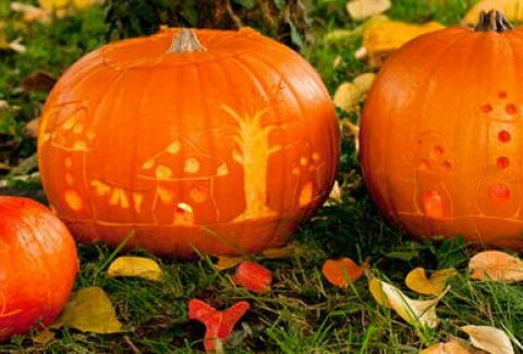 Come intagliare la zucca di Halloween: tutorial fai da te per creare Jack 'o Lantern