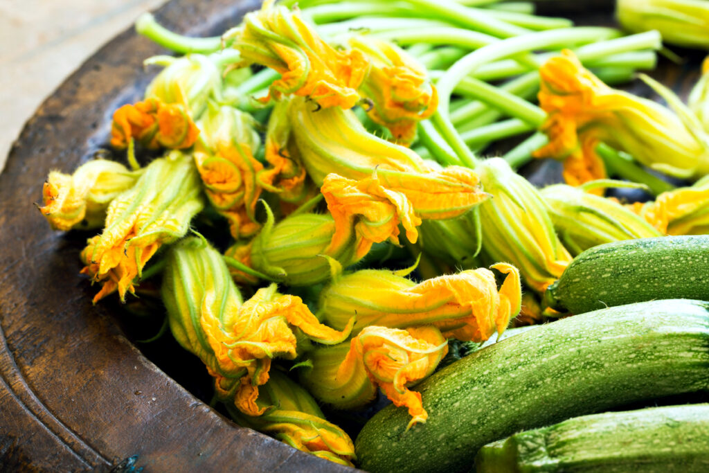 Fiori di zucca: proprietà, ricette e come pulirli