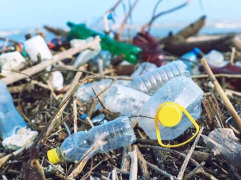 La vita dopo la plastica: così ridurremo l’inquinamento