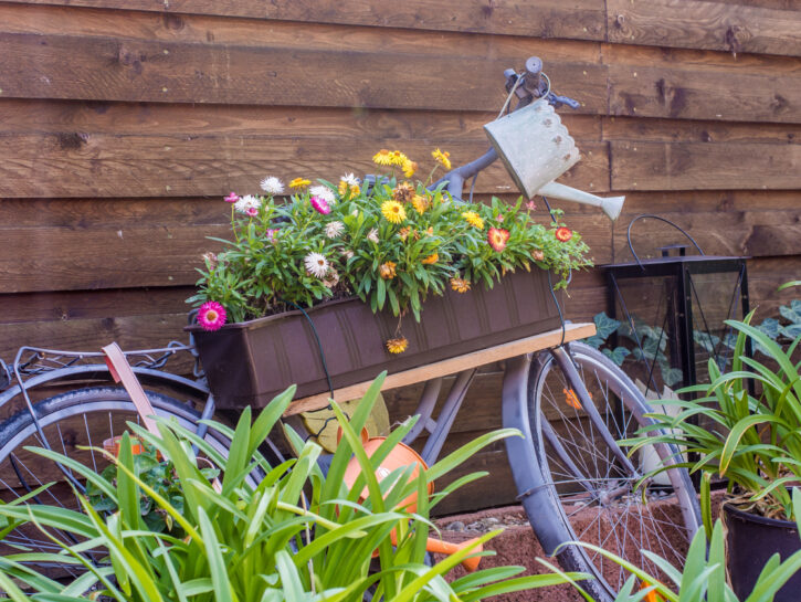 Giardino in tazza: come realizzarlo