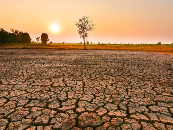 Clima, è tornato El Niño: rischio caldo record