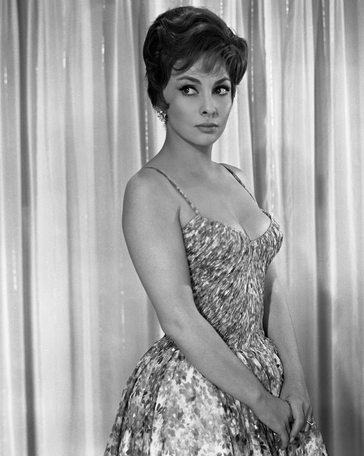 Gina Lollobrigida