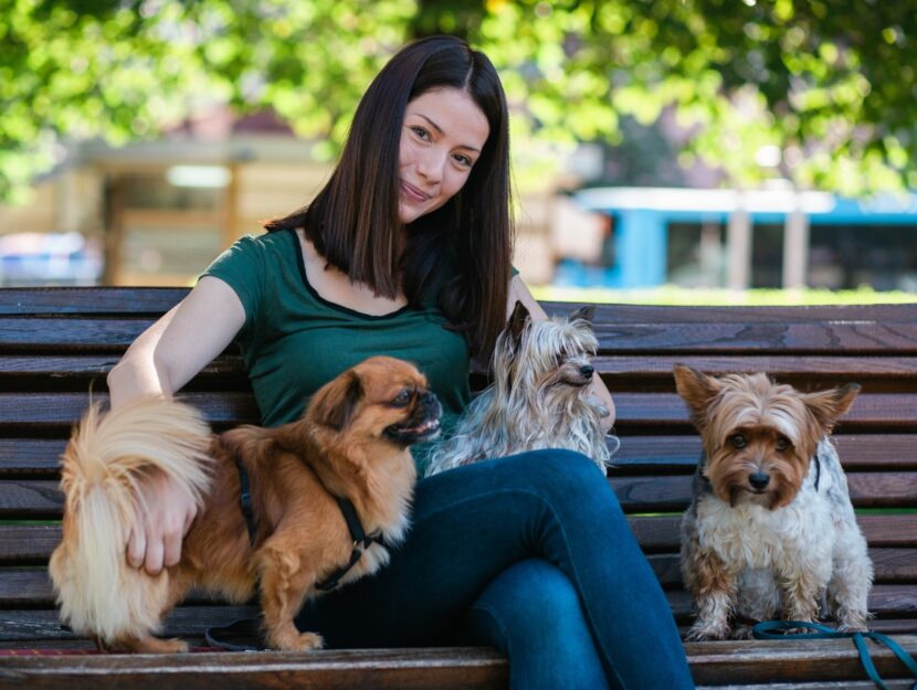 Dog e cat sitter tra i lavori più remunerati di agosto