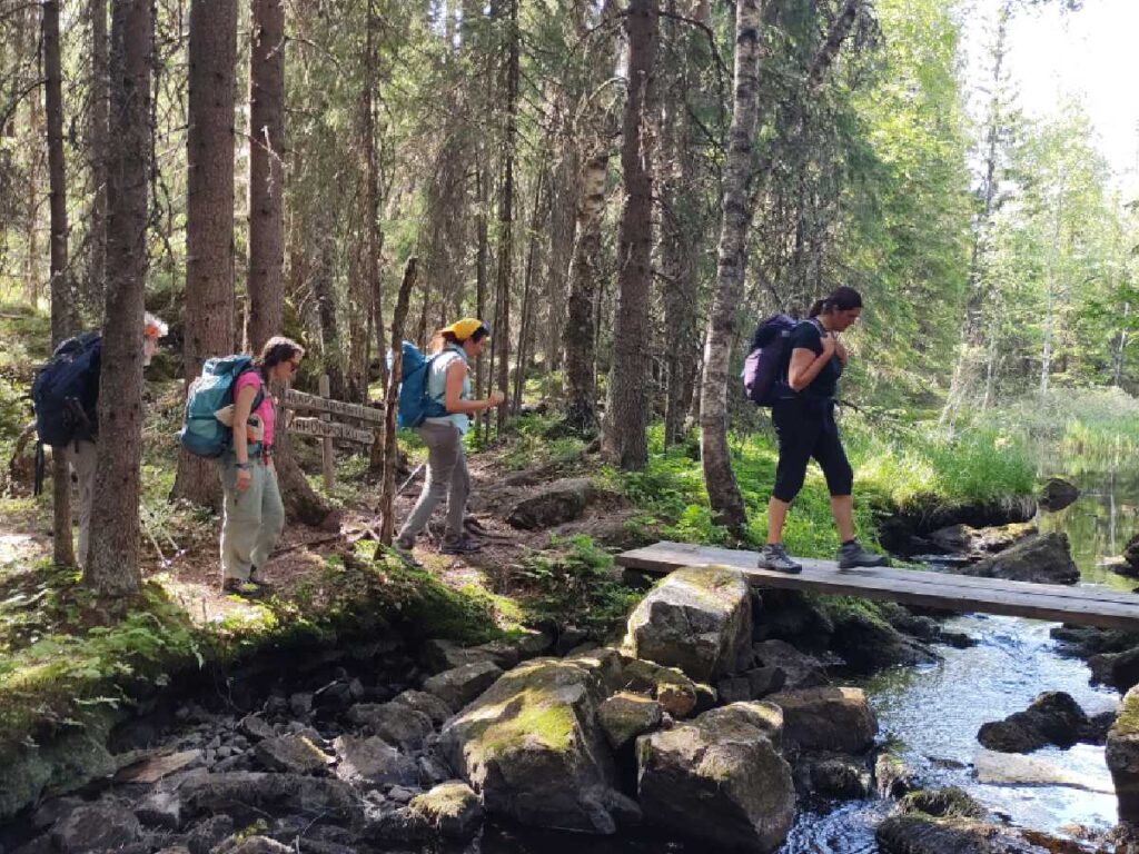 Finlandia cammino nella natura