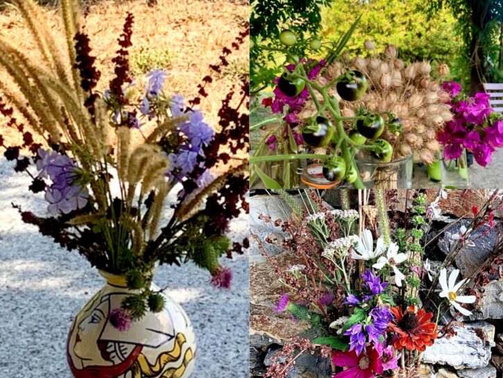 Fiori secchi che passione