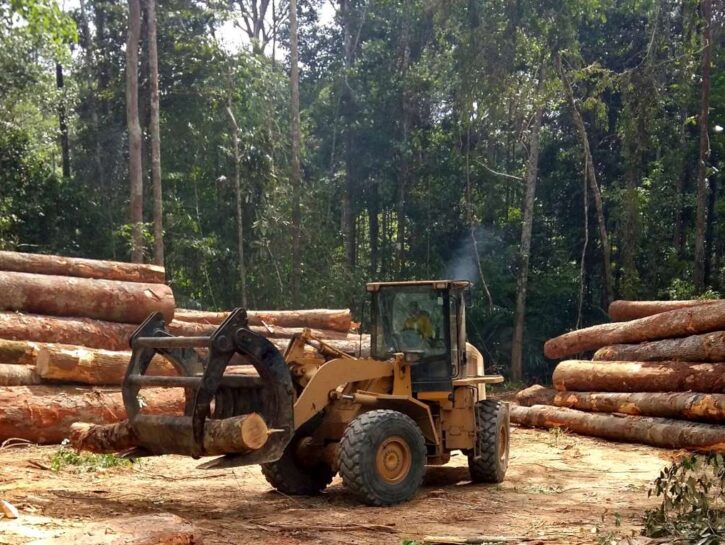 Deforestazione amazzonica, i dati fanno ben sperare