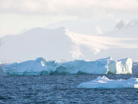 Antartide, ghiaccio ai minimi: manca una superficie grande quanto l’Argentina