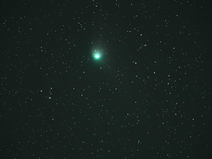 Quando e come vedere la cometa 