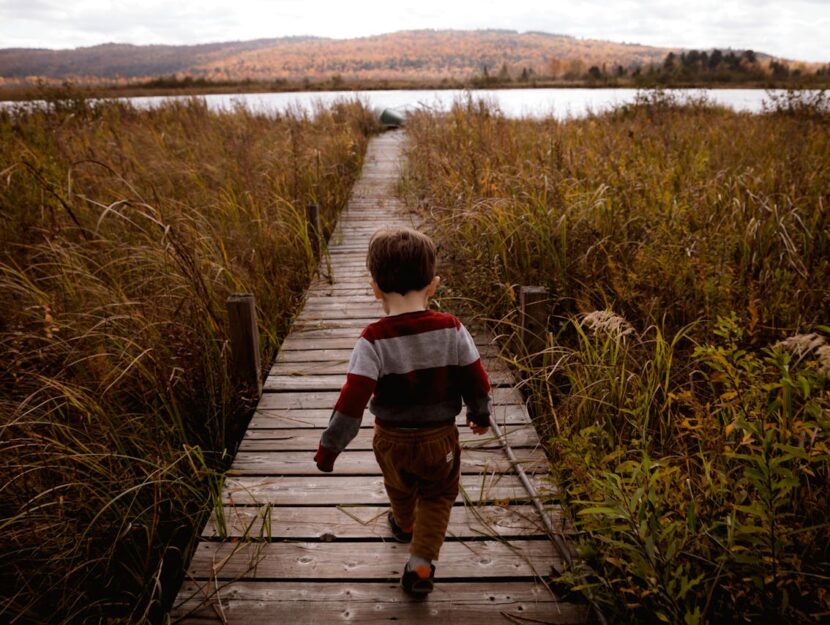 bambino passeggia in bosco autunnale