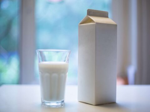 Come riciclare il brick del latte