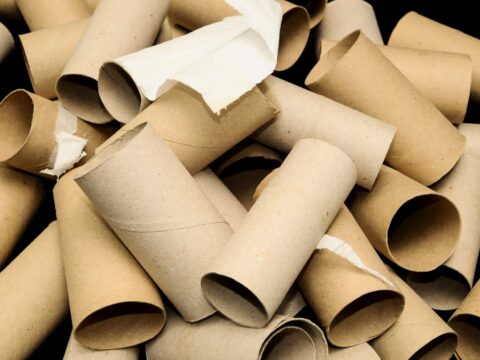 Come riciclare i rotoli di carta igienica: tre idee