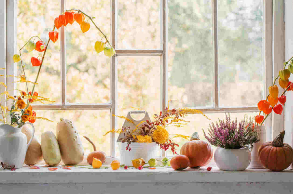finestra decorata con fiori e zucche autunnali
