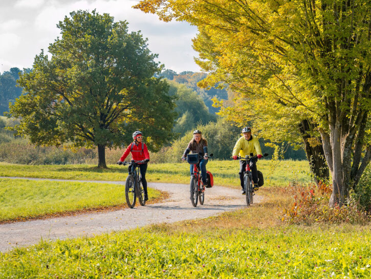Vuoi passare all'e-bike? Ecco il nostro test