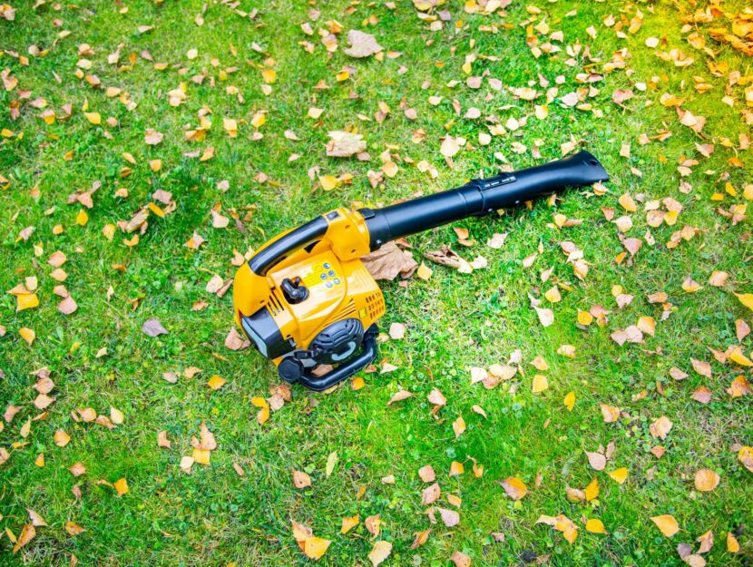 Soffiatore per eliminare le foglie dal giardino: come sceglierlo - Donna  Moderna