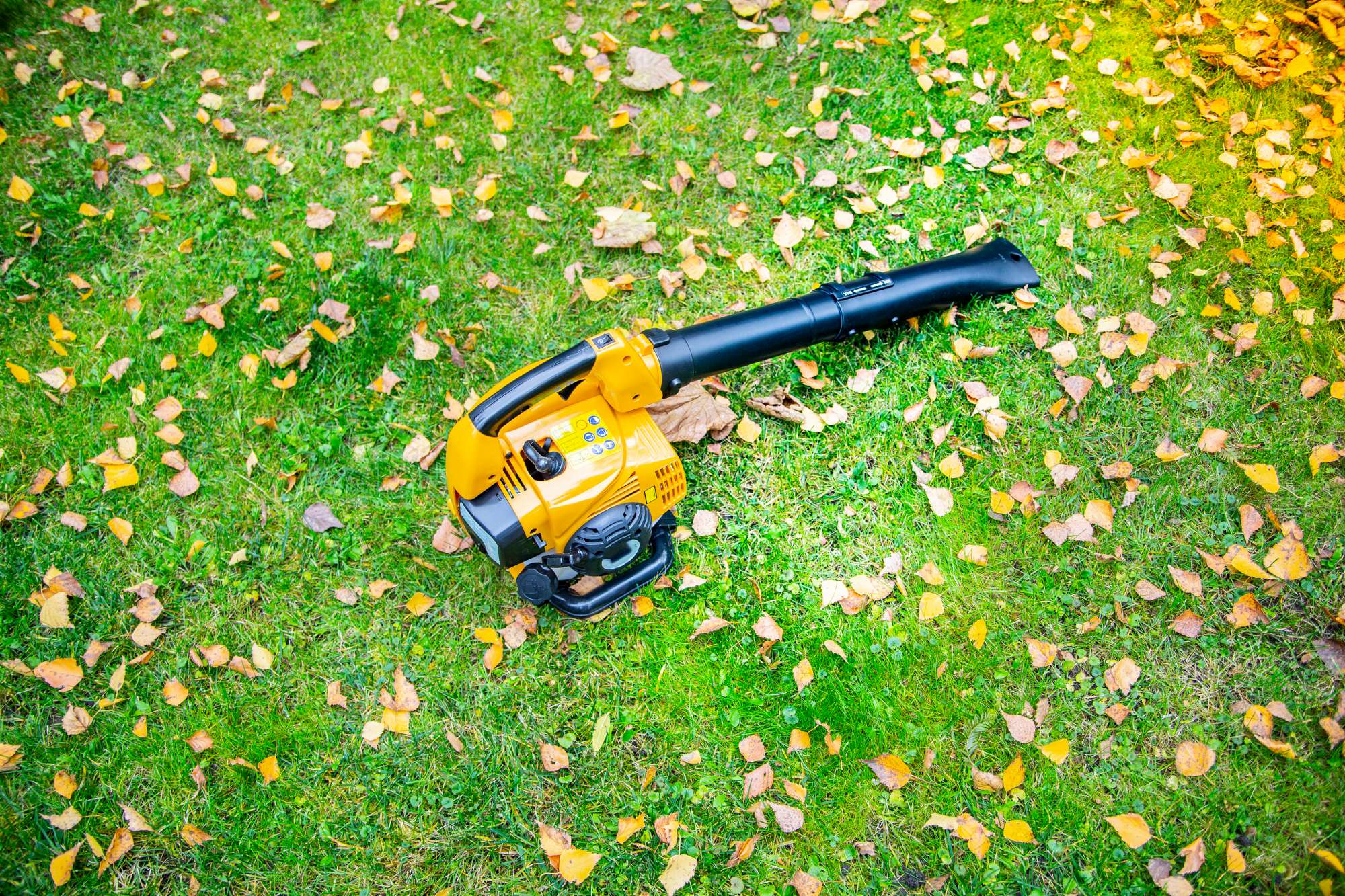 Come liberarsi delle erbacce dai viali in giardino senza utilizzare i  diserbanti - Donna Moderna
