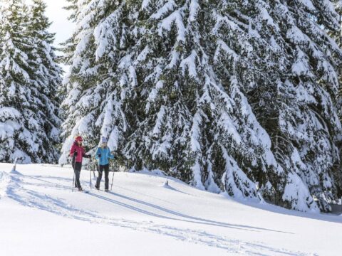 Le vacanze sulla neve che hai sempre sognato