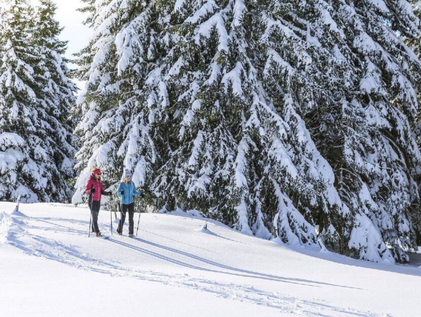 Passeggiata sulla neve a San Vigilio, a cui si arriva con una cabinovia appena ristrutturata. 