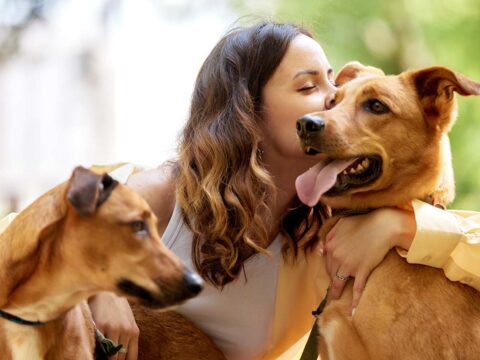 Gli 8 segnali che il tuo cane è felice e si sente al sicuro con te