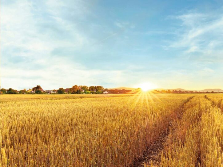 Scendiamo in campo