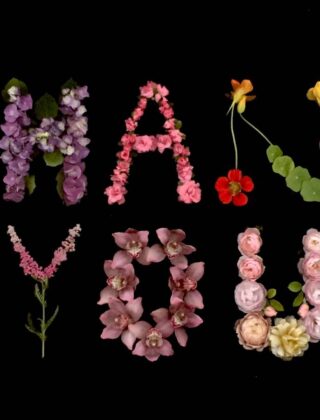 Un anno finisce, anche in giardino