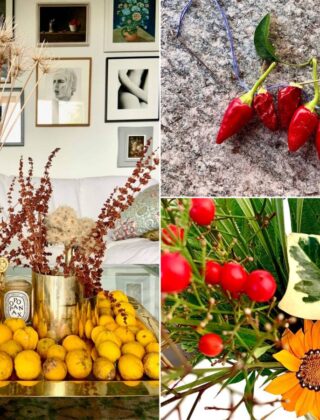 Tavola delle feste: sostenibile e bella con una passeggiata nel bosco