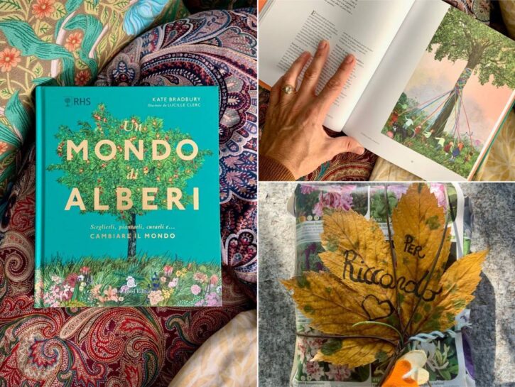 Un libro sotto l'albero: regali per biofili in erba o pollici verde smeraldo