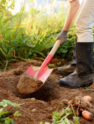 Salute del suolo, la Svizzera lancia il "test mutande": che cos'è