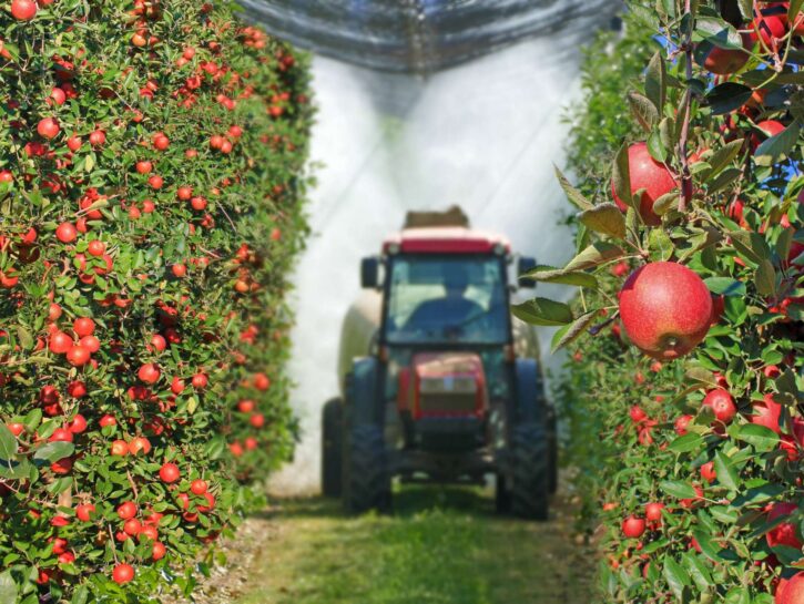 Pesticidi, ecco gli alimenti più contaminati