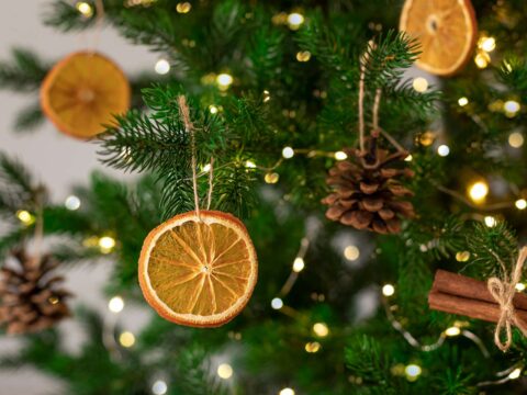 Come fare delle decorazioni natalizie con la frutta essiccata