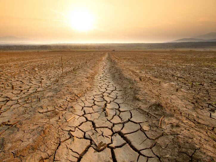 El Niño e le conseguenze sul clima: cosa ci aspetta nel 2024?