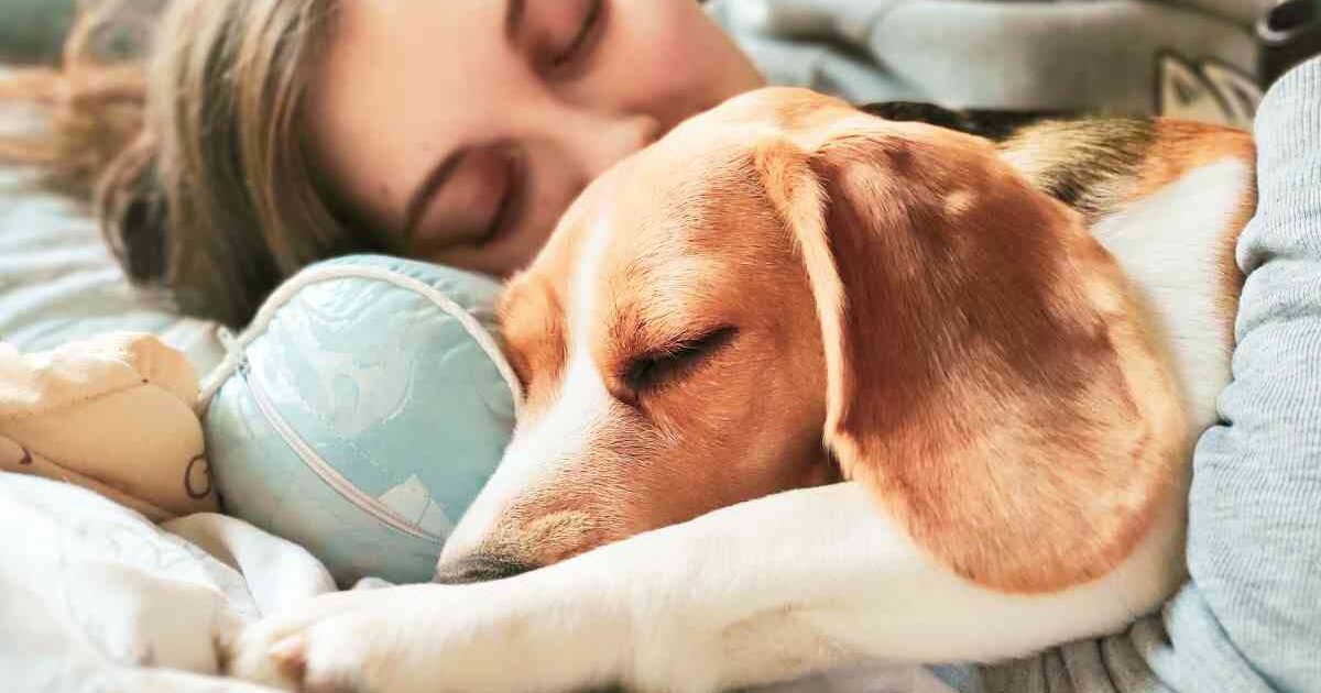 fa sesso con il cane
