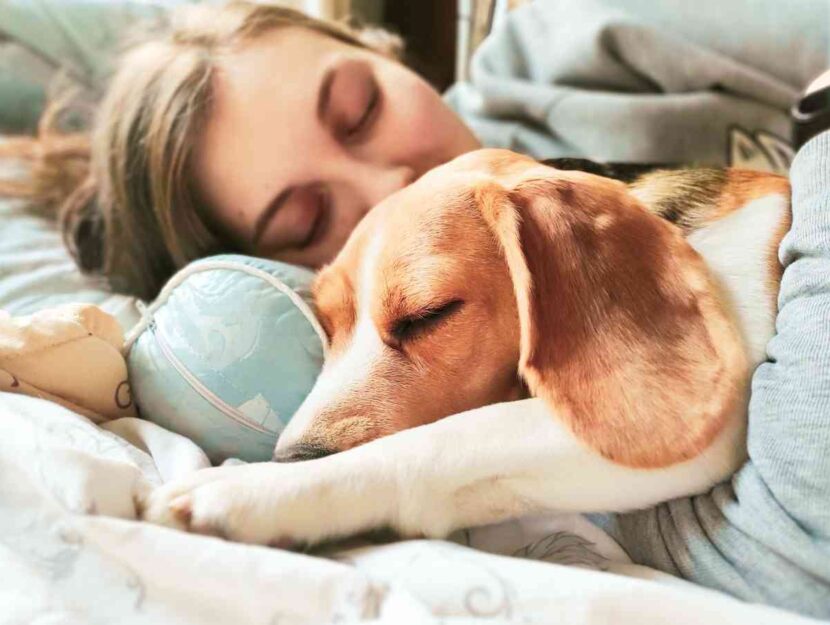 Una donna dorme con il proprio cane