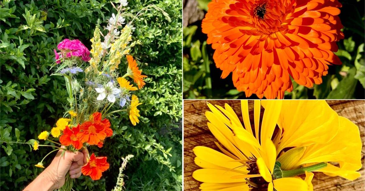 Calendula fiori decorare una tomba durante il giorno dei morti in Città