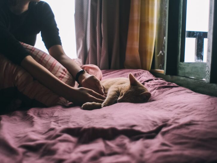 Notti di coccole o notti insonni? La verità su cani e gatti nel nostro letto