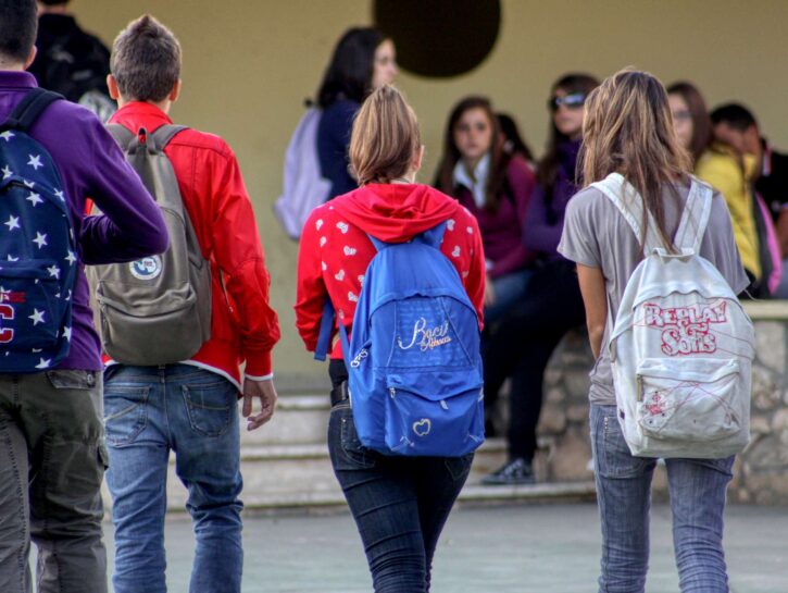Scuola: scientifico top, flop per il liceo del 