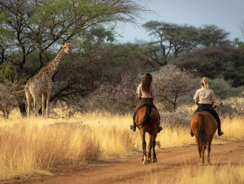 Due donne fanno un safari a cavallo
