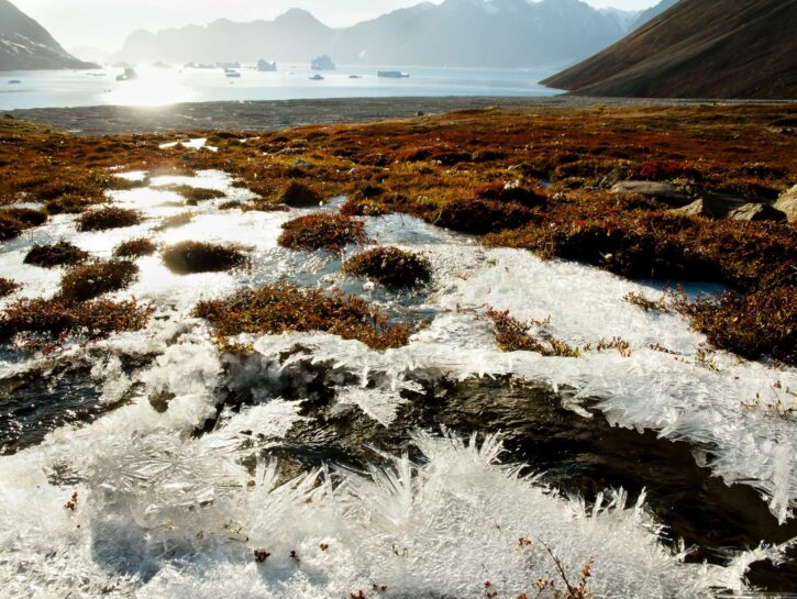 Virus zombie nel permafrost: rischi di nuove pandemie?