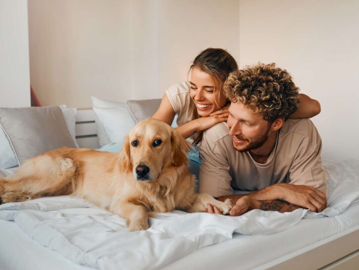 Educare un cane: 5 errori da non commettere
