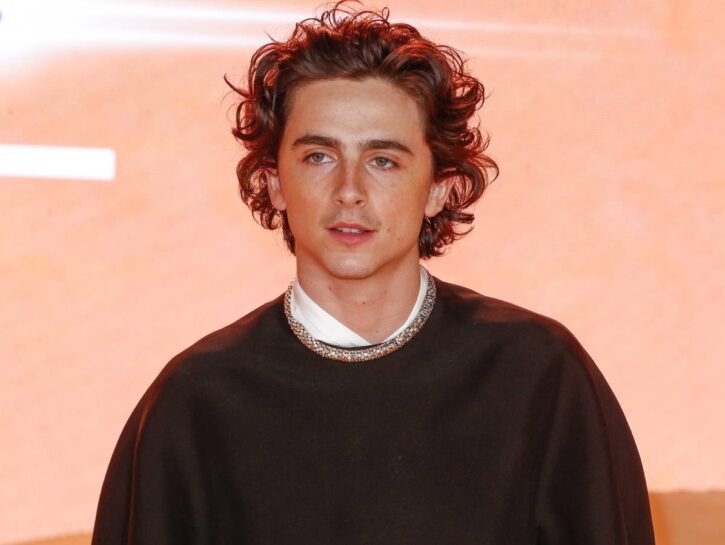 Timothée Chalamet, le prime foto nei panni di Bob Dylan non piacciono ai fan: i motivi