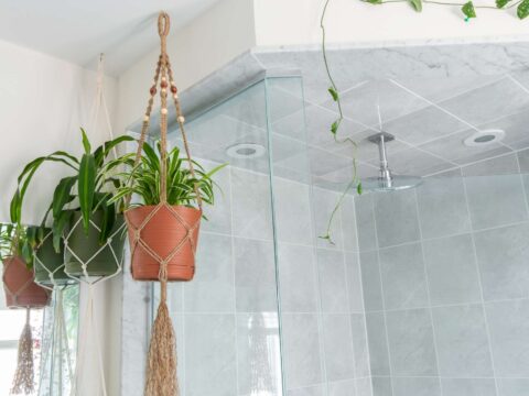 Come appendere le piante in bagno