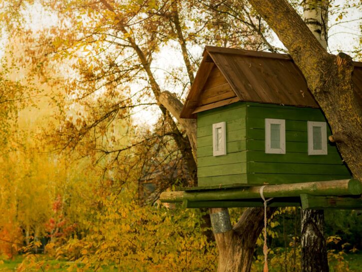 Come costruire una casa sull'albero