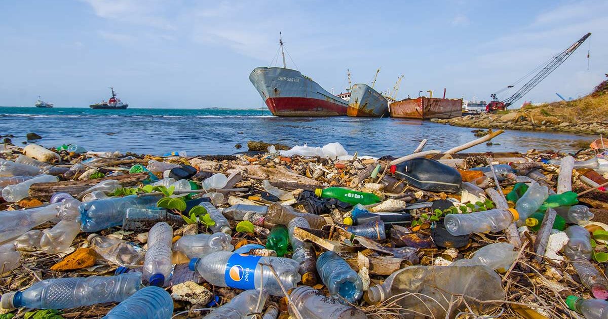 Giornata della Terra, l'obiettivo di un pianeta senza plastica - Donna ...
