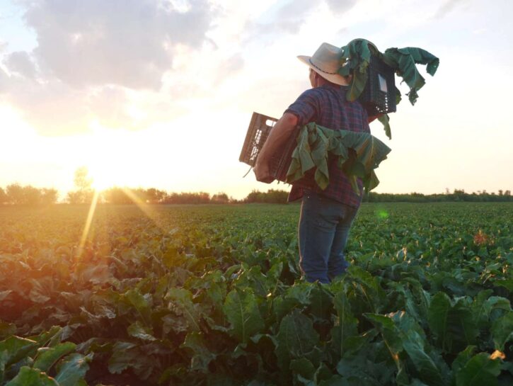 Cambiamento climatico: i rischi per i lavoratori