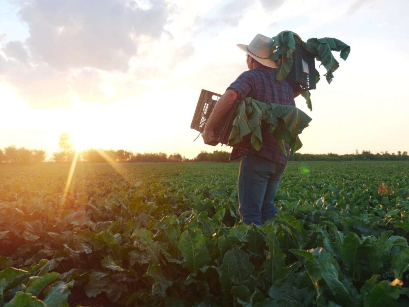 Lavoratore agricolo